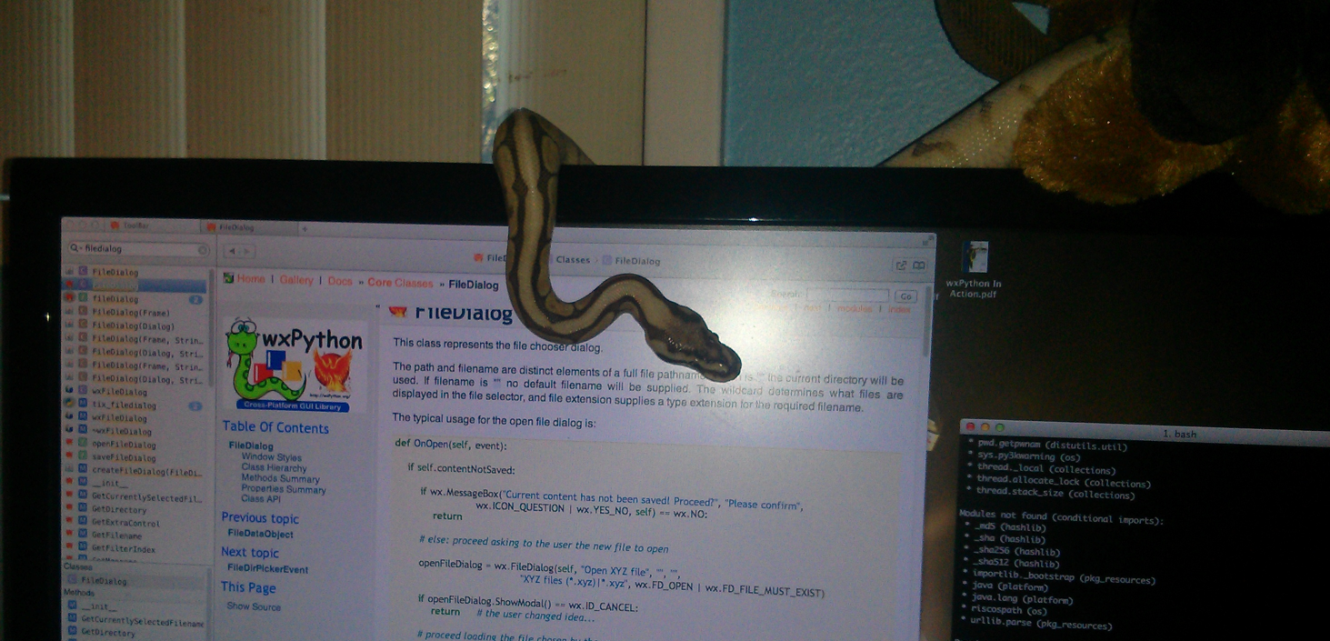 Kaine likes wxPython